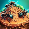 ant colony
