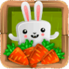 bunny quest