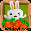 Bunny Quest