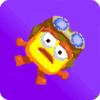 dotto botto
