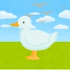 epic duck