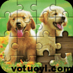 Jigsaw Puzzle