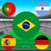 world cup flag match